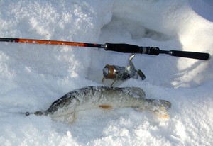 Для зимней ловли используют особые спиннинги.