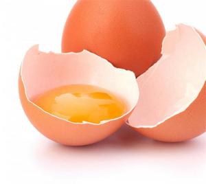 Чтобы развести опарыша в домашних условиях можно воспользоваться куриным яйцом