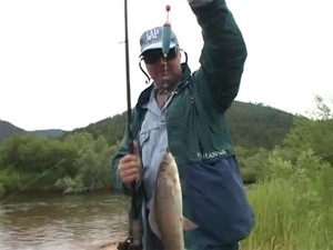 Способ ловли рыбы