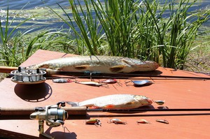 Советы опытных рыболовов как правильно подобрать вид спиннинга и оснастку для рыбалки