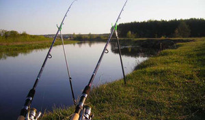 Фидерные удилища на летней рыбалке