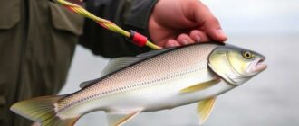 Maîtrisez les meilleurs nœuds de pêche que tout pêcheur devrait connaître