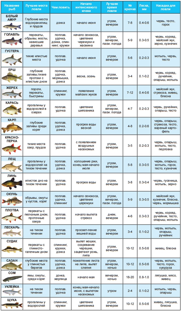 Шпаргалка рыбака  (сводная таблица по ловле разных видов рыб)