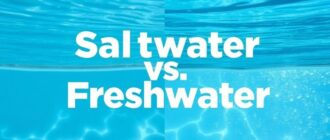 Pesca en agua salada vs agua dulce: Diferencias clave y equipo esencial