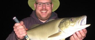 Nachtangeln: Secretos nocturnos para atrapar a los peces que viven de la noche