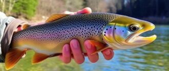 Trout Fishing Secrets: Wo und wann Sie die Forelle wirklich finden — Ein umfassender Guide