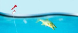 Angeln für Anfänger: Die grundlegende Ausrüstung