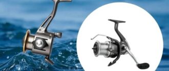 Les meilleurs moulinets pour chaque type de pêche : guide complet et pratique