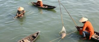 Redes, Cormoranes y Canastas: Técnicas de pesca tradicionales a través del mundo