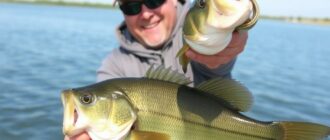 Bass fangen leicht gemacht: Profi-Tipps, heiße Hotspots und die Tricks, die jeder Angler kennen sollte